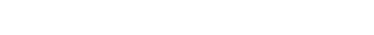 logo wonderfest